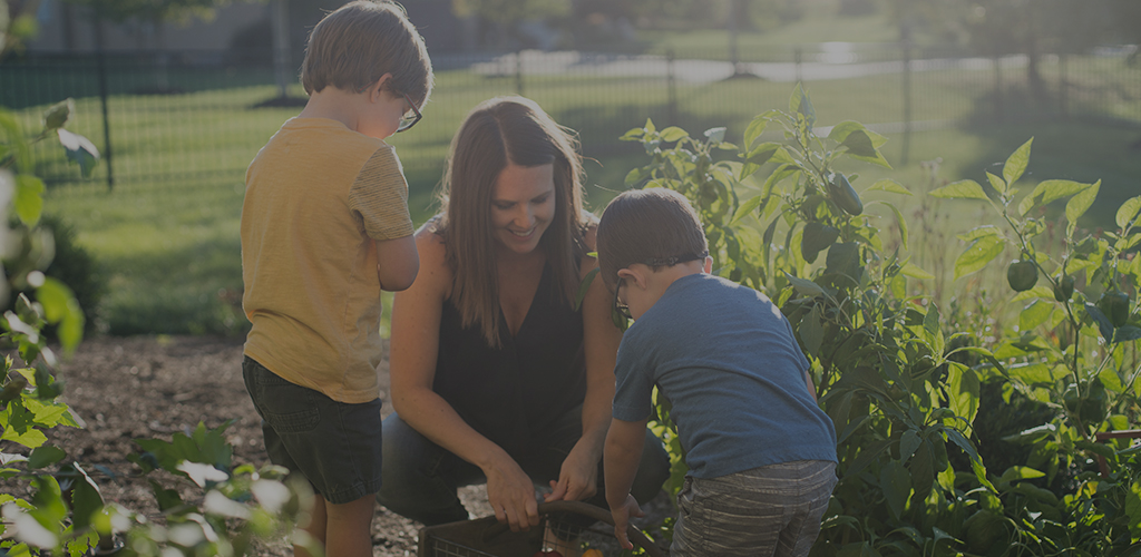 Gardening 101