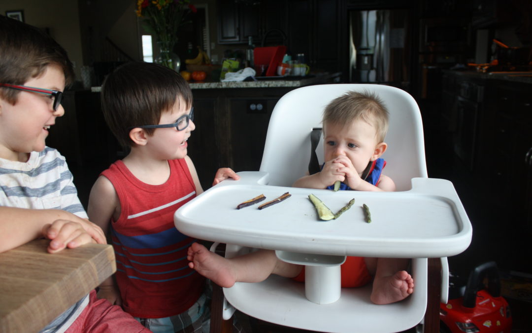 Baby Led Weaning