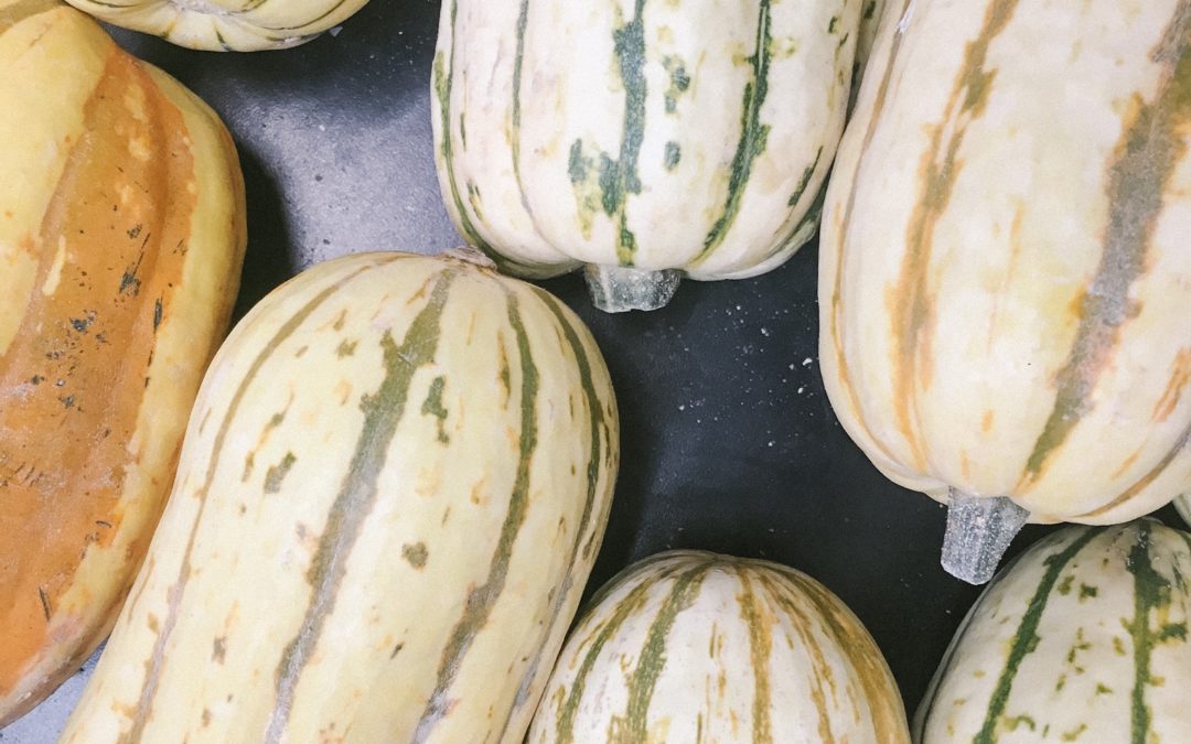 Roasted Delicata Squash